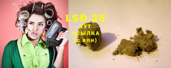 ГАЛЛЮЦИНОГЕННЫЕ ГРИБЫ Алексеевка