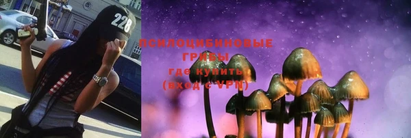 мяу мяу мука Алзамай