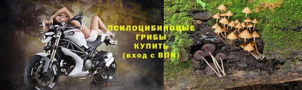 ГАЛЛЮЦИНОГЕННЫЕ ГРИБЫ Алексеевка