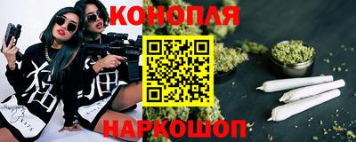 PSILOCYBIN Гатчина