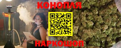 гидра Гусев