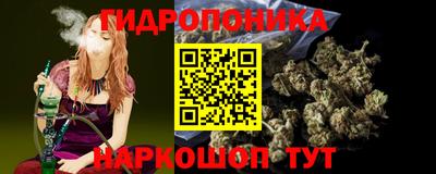 PSILOCYBIN Гатчина