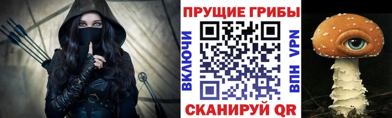 Псилоцибиновые грибы Cubensis  Нефтекумск 